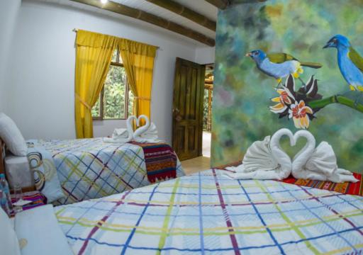 Birdwatchers House y Lodge - Standard Twin Room with Mountain View - 8