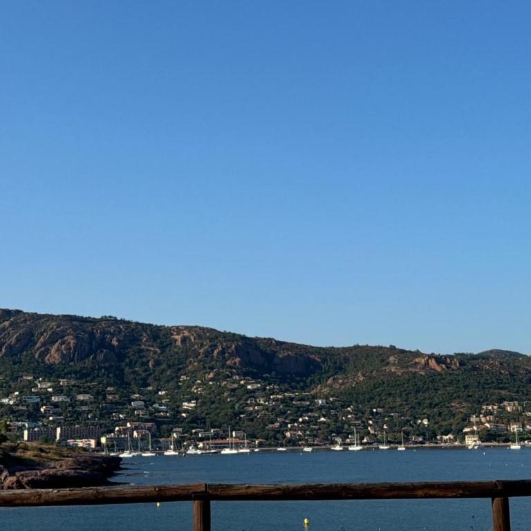 Cap Esterel 2 pièces Climatisé Vue Mer et piscines Réf E1 219 - Appartement - 17