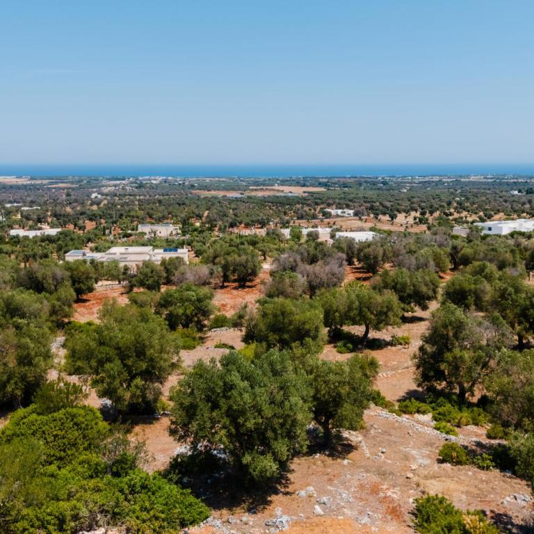 Tenuta Romance by Perle di Puglia - Villa con Piscina Privata - 76