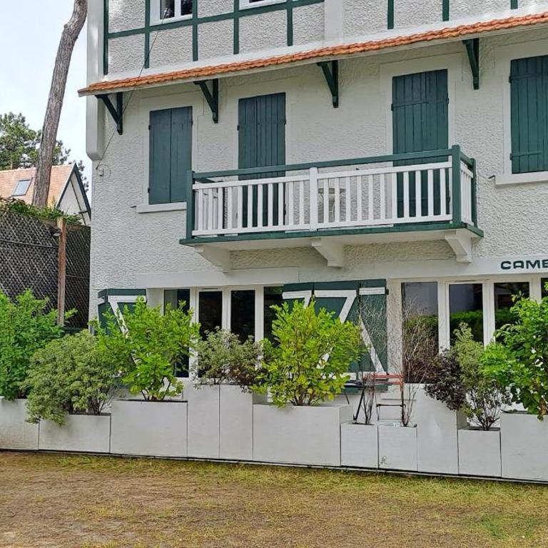 Spacious cocoon with garden near the sea - Apartment - 4
