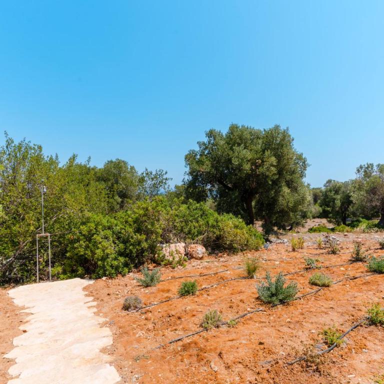 Tenuta Romance by Perle di Puglia - Villa con Piscina Privata - 77