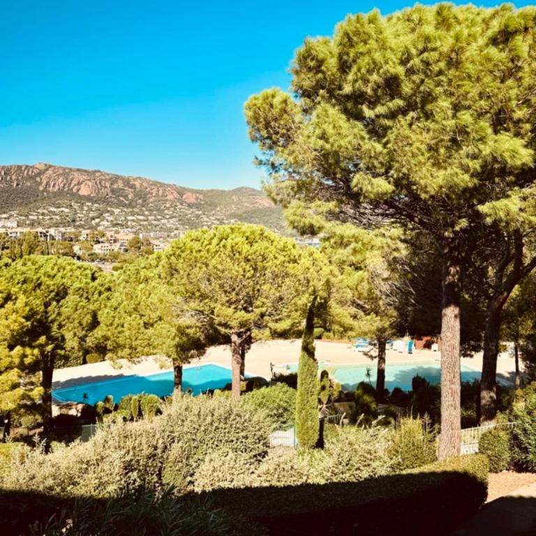 Magnifique F2 climatisé de 42m2 Vue Sur la mer et la piscine Réf K1 203 - Appartement - 1