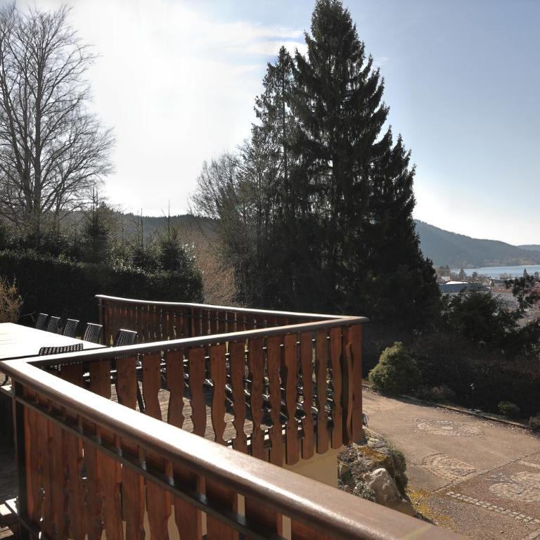 Chalet GERARDMER vue lac 5 min à pied du centre ville jacuzzi jardin - Chalet Supérieur - 27