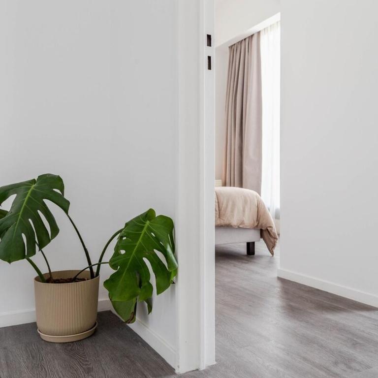 BT Homes - 2 Ambientes Premium & Terraza con Jacuzzi - Apartamento de 2 dormitorios - 18