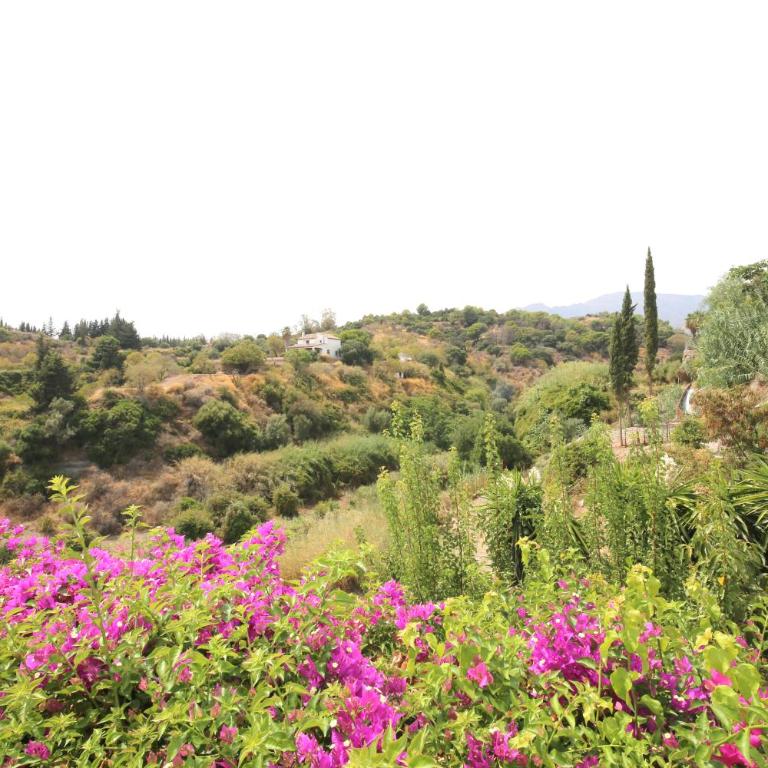 Estepona North Family Villa CORTIJO - Villa de 3 dormitorios - 19