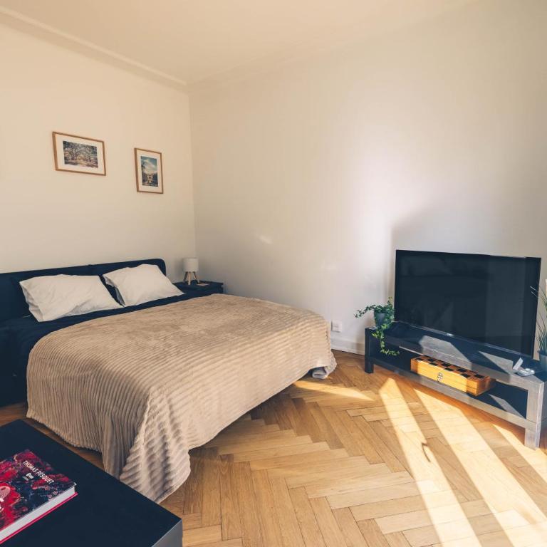 Bright apartment in the center of Lausanne - Apartment mit 1 Schlafzimmer - 3