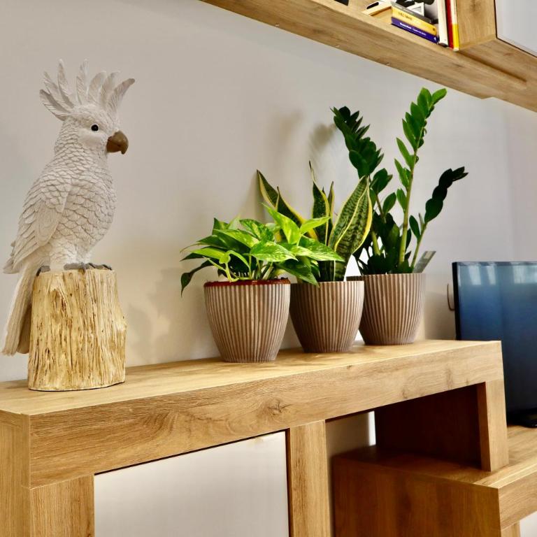 Residenza Ipanema - Appartamento con 2 Camere da Letto - 10