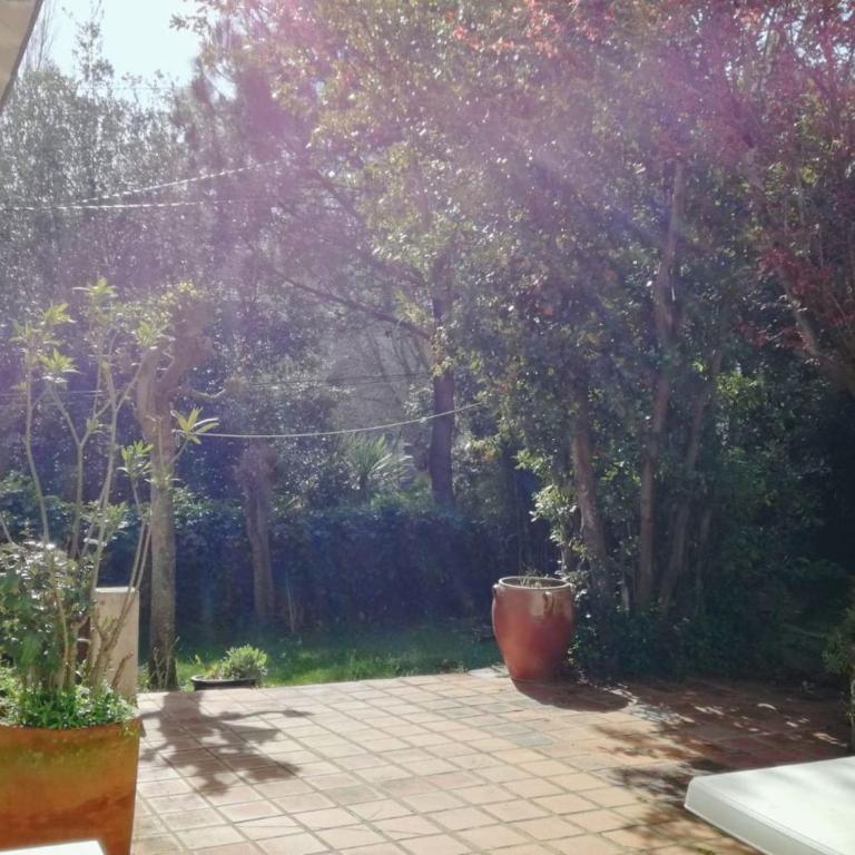 Beautiful house facing the alder wood and beach - Maison de Vacances - 6