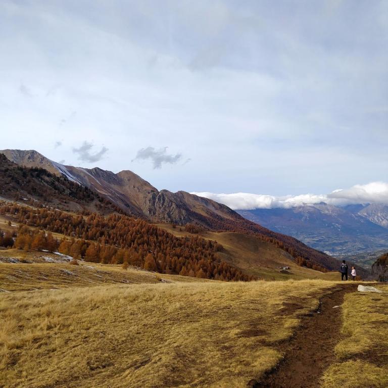 Vacances à la montagne - Apartment mit 1 Schlafzimmer - 16