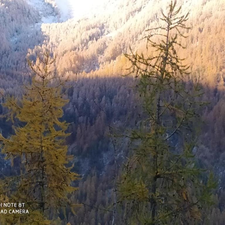 Vacances à la montagne - Apartment mit 1 Schlafzimmer - 28