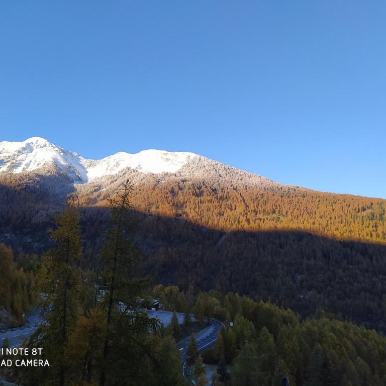 Vacances à la montagne - Apartment mit 1 Schlafzimmer - 38