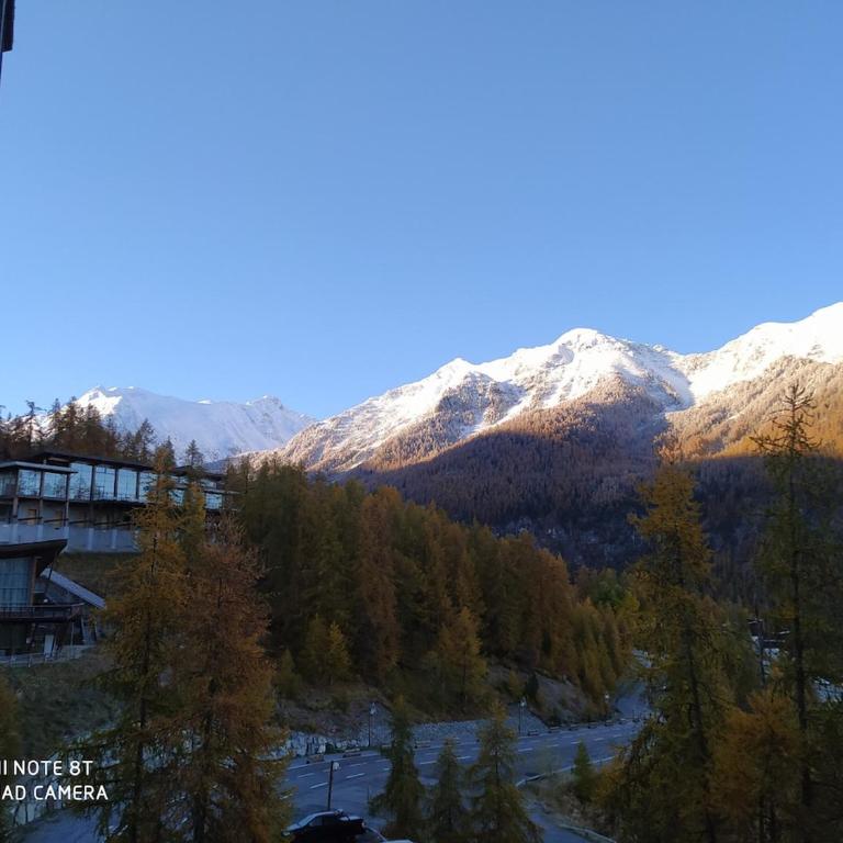 Vacances à la montagne - Apartment mit 1 Schlafzimmer - 43