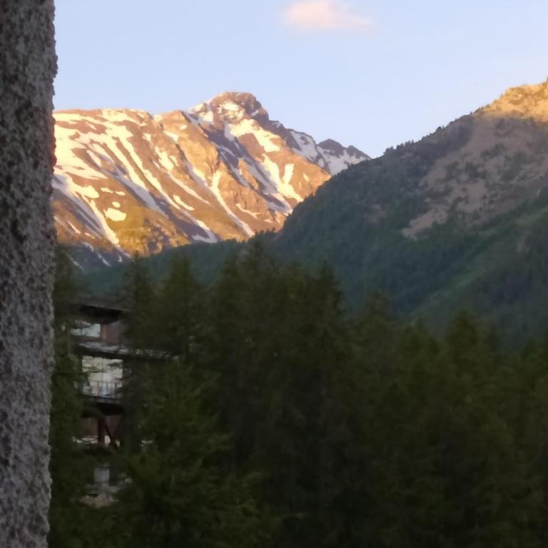 Vacances à la montagne - Apartment mit 1 Schlafzimmer - 48