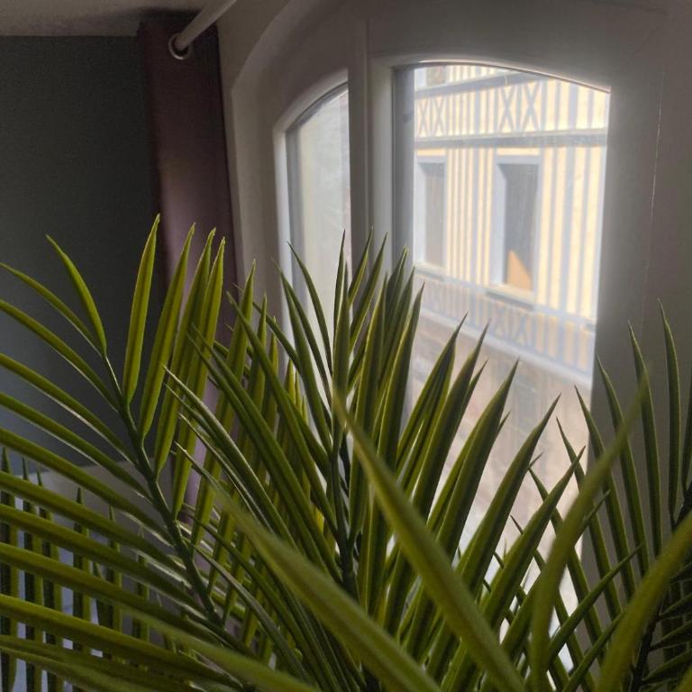 Charme authentique Rouennais - 438 - Studio-Apartment - 6