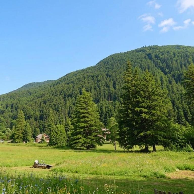 Casa-Petit Laus Brand New Duplex in Queyras for 6p - Appartement 2 Chambres - 22