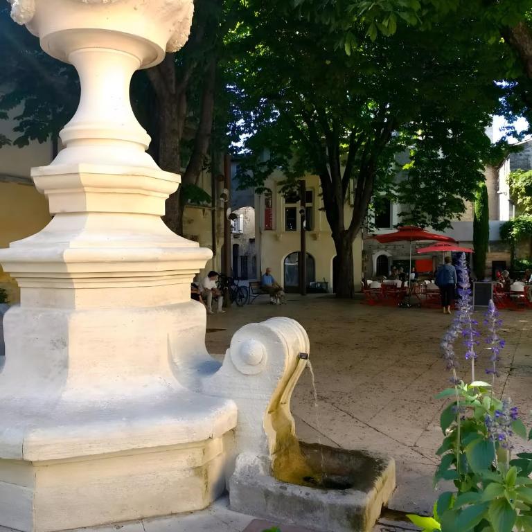 Charming 1750 Stonehouse Saint Rémy - Maison 1 Chambre - 27