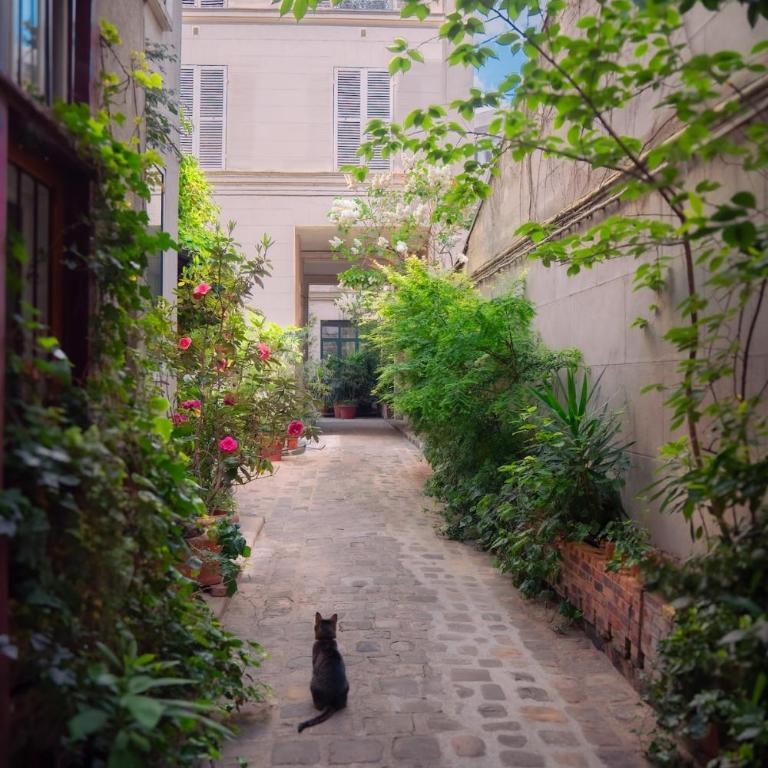 Enchanting Oasis - Montmartre - Appartement 1 Chambre - 16