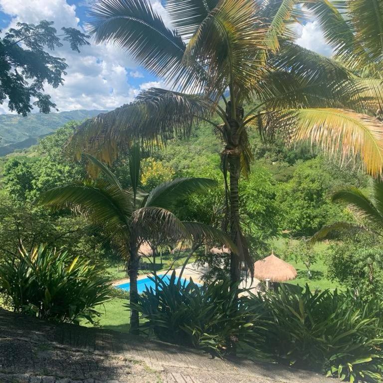 Finca La Verbena - The Sound of Nature - Vacation Home - 2
