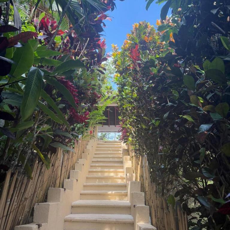Finca La Verbena - The Sound of Nature - Vacation Home - 8