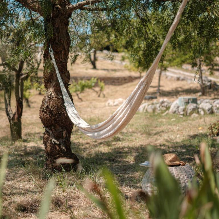 Trulli con piscina privata al sale a Locorotondo - Villa con Piscina Privata - 15