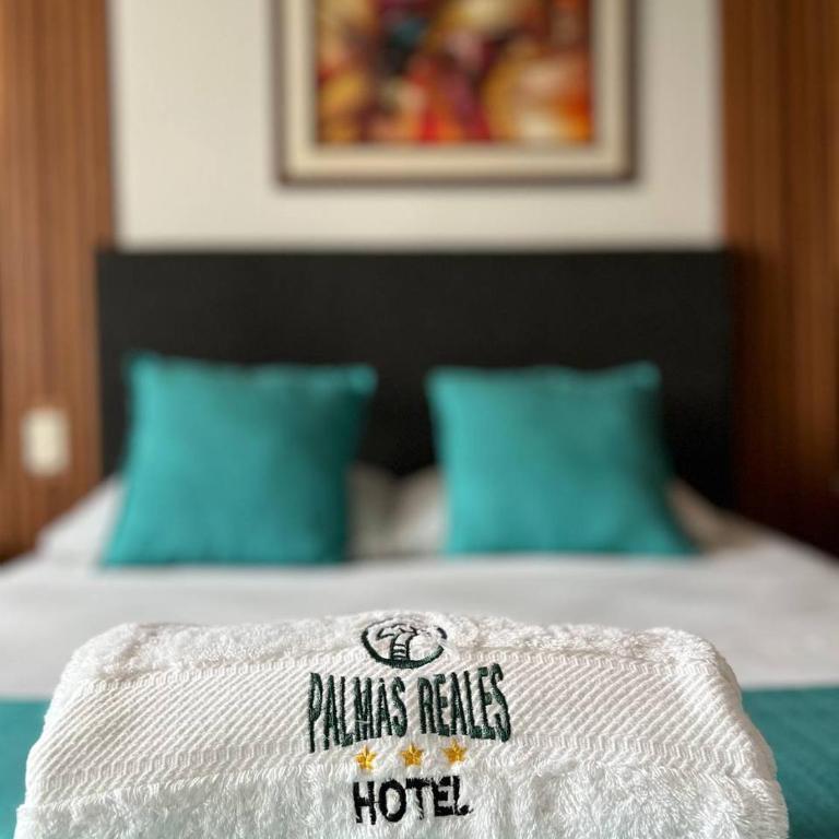 Hotel Palmas Reales - Habitación Individual Superior - 9