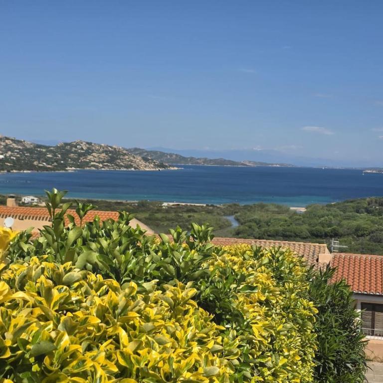 Casa Zelena - Monolocale Standard - 6