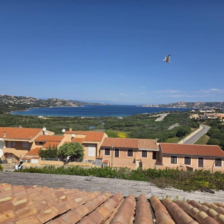 Casa Zelena - Monolocale Standard - 17