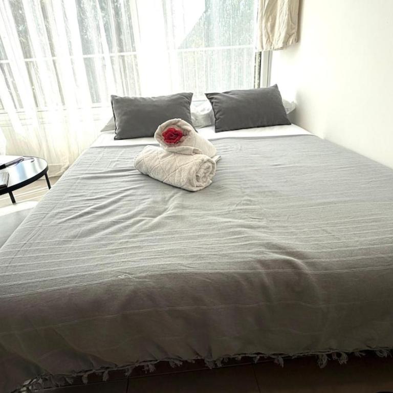 Escale -Cosy & Lumineux -proche port - plage - Apartment mit 1 Schlafzimmer - 28