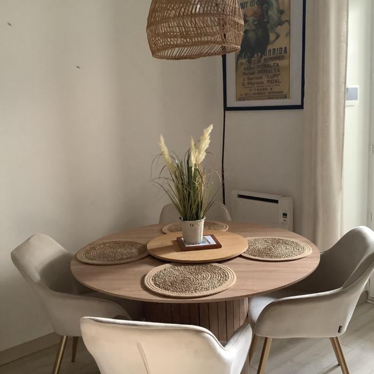 Jul'Home pour 4 personnes , Terrasse avec Jacuzzi en centre ville Dax - Appartement 1 Chambre - 4