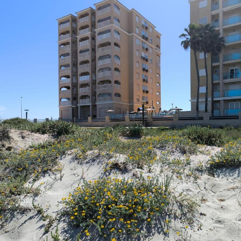 Mariposa de Dos Mares First Line Beach Max 2 Adults & Kids -16Y - Apartamento con vistas al mar - 41