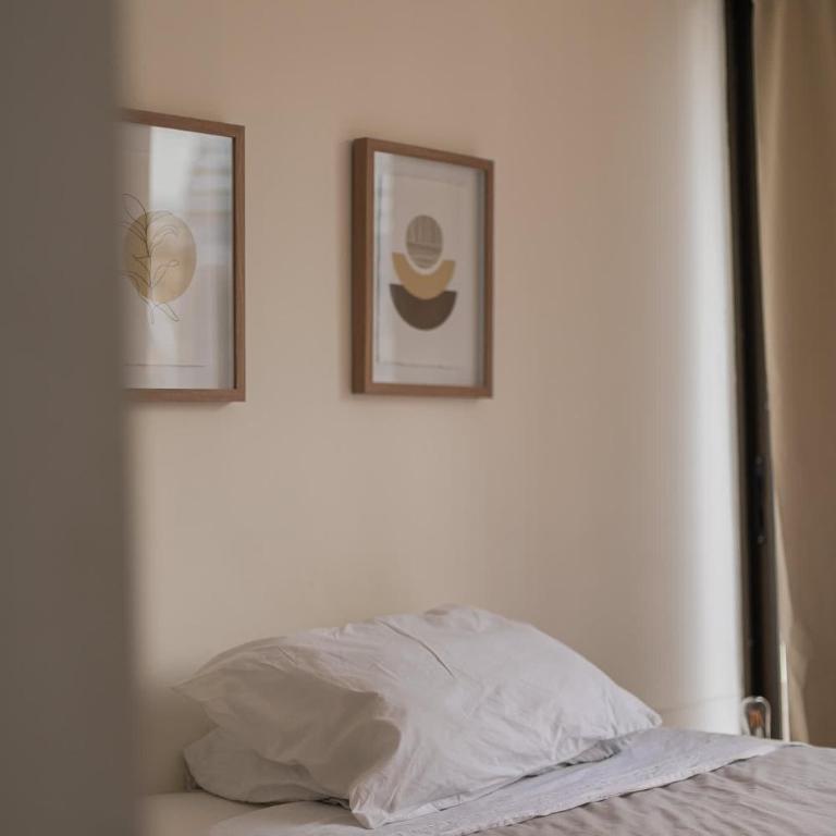 2BR Oasis with Pool Near MUT El Golf Retreat - Apartment - 6