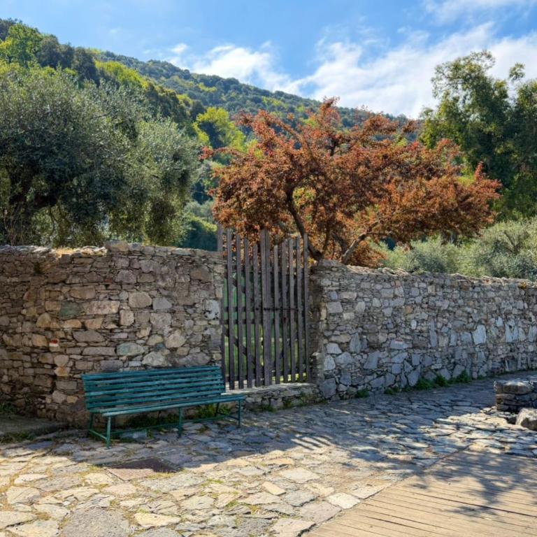 Casa Palmaria - Appartamento con 1 Camera da Letto - 8