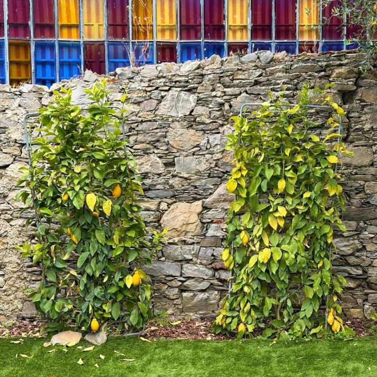 Casa Palmaria - Appartamento con 1 Camera da Letto - 12