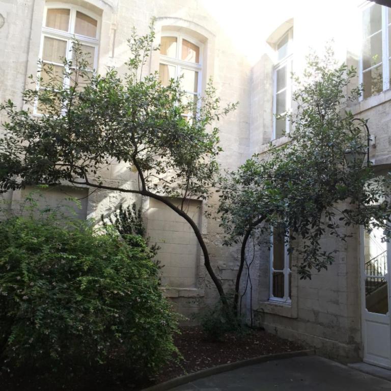 Appartement des Teinturiers, climatisation et terrasse - Apartment mit Balkon - 4