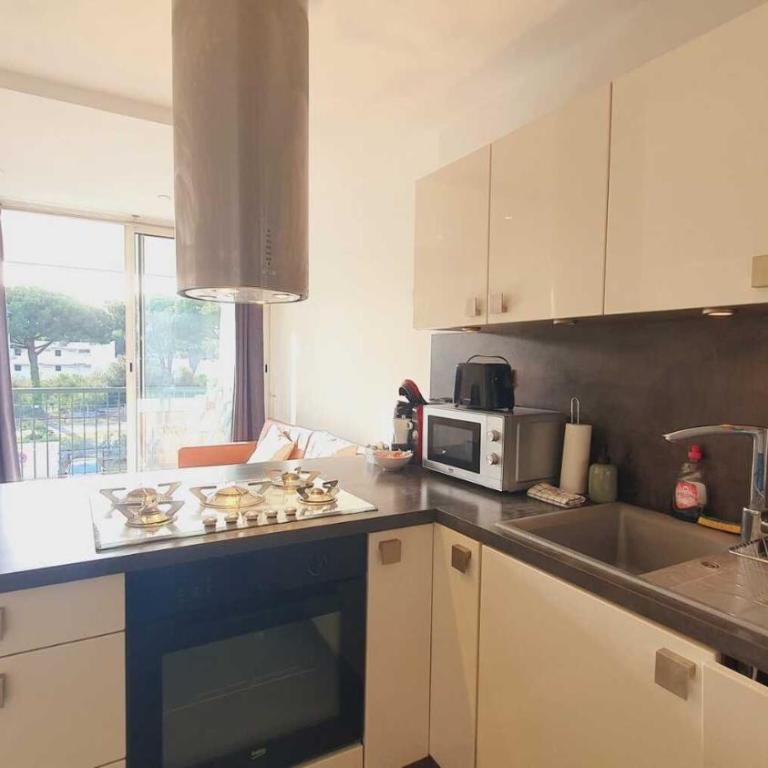 Le Nid Ensoleillé avec Parking privé Clim Wifi - ROSSIconciergerie - Linge inclus - Apartment mit 1 Schlafzimmer und Terrasse - 7