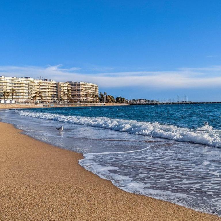 Appartement 2P, 4 Couchages, Terrasse et Salon de Jardin à 200m de la Plage, Fréjus - FR-1-226A-22 - Apartment (4 Erwachsene) - 20