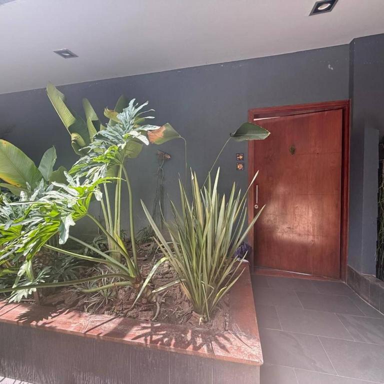 Stylish, bioclimatic family house - Casa - 3