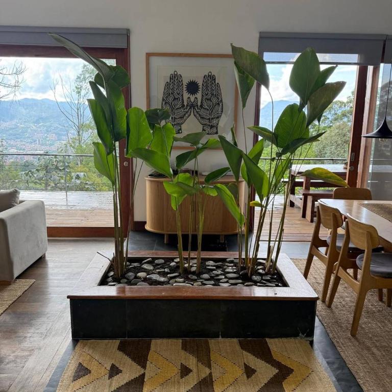 Stylish, bioclimatic family house - Casa - 4