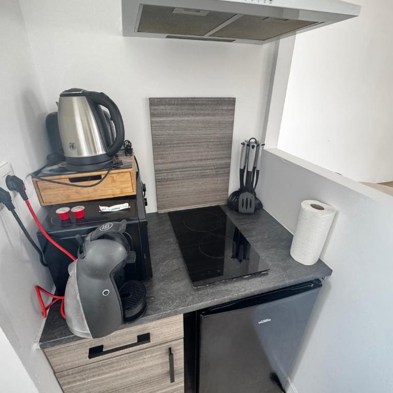 Studio cosy central - Appartement 1 Chambre - 4
