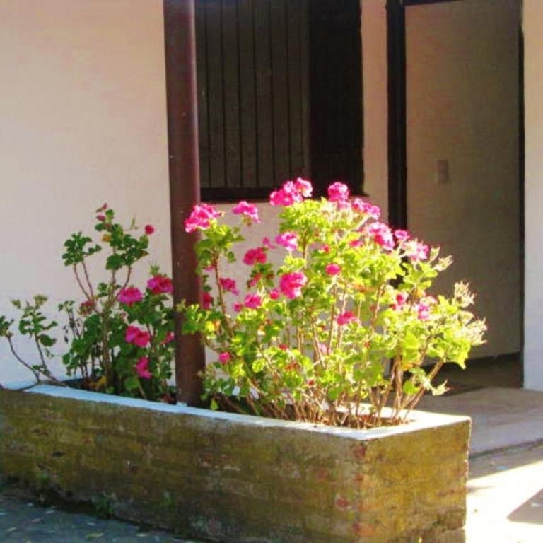 Casa Frente al Mar - Aguas Verdes - Casa - 5