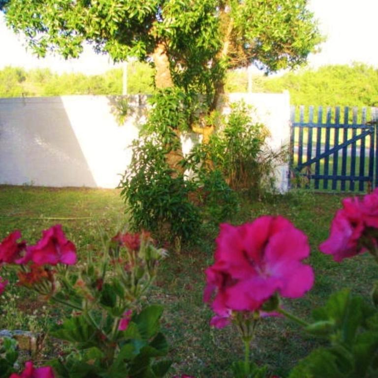 Casa Frente al Mar - Aguas Verdes - Casa - 9