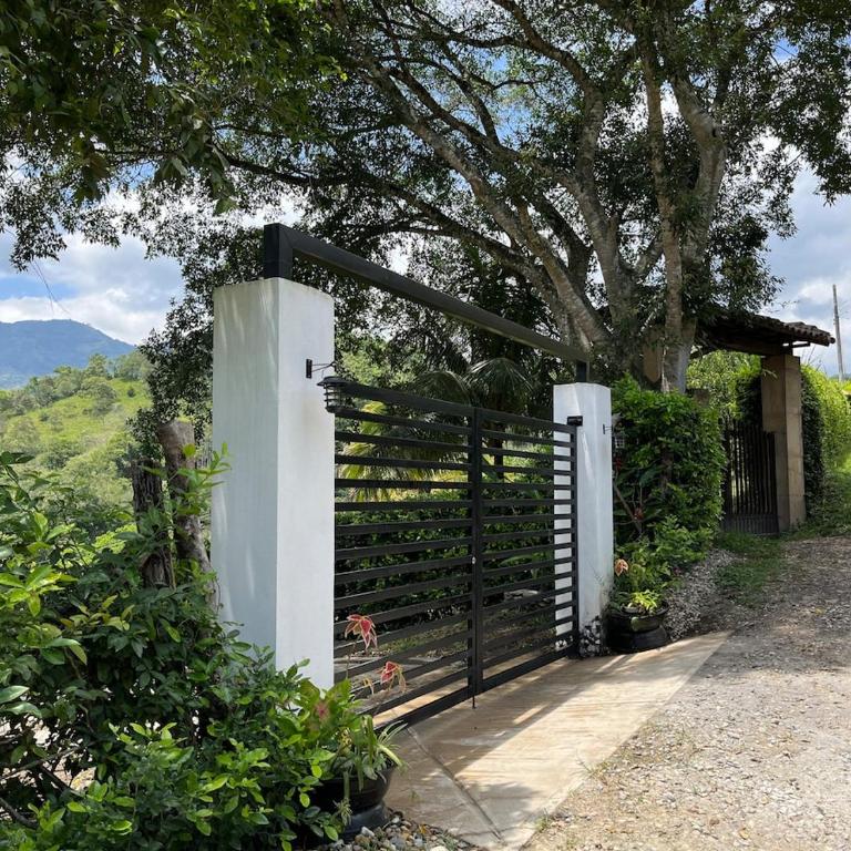 Andalucia - Chalet - 14