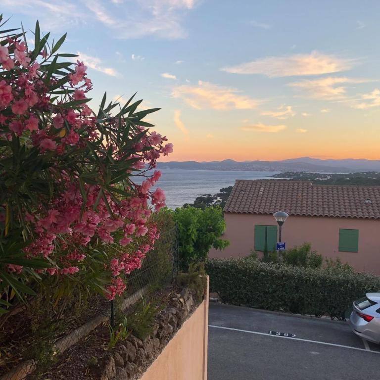 Apt With Swimming Pool 500m From The Beach - Apartment - 14
