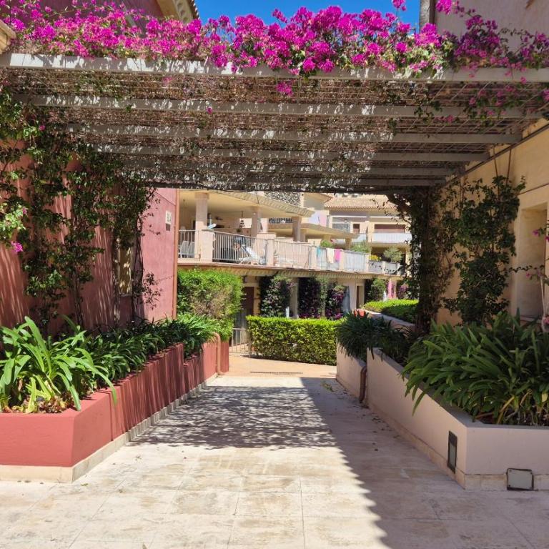Orange tree - Apartamento de 2 dormitorios - 44
