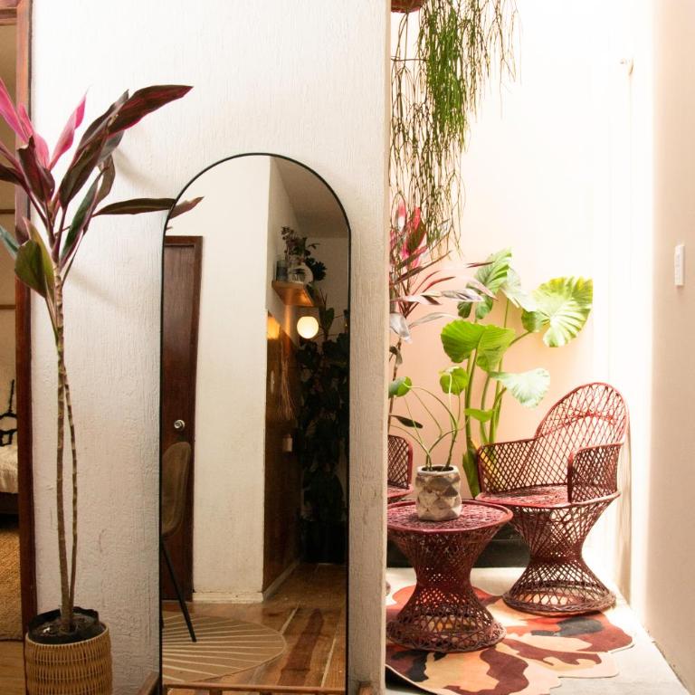 CASA LUMA en el corazón de Roma-Condesa Mexico - Apartment - 51