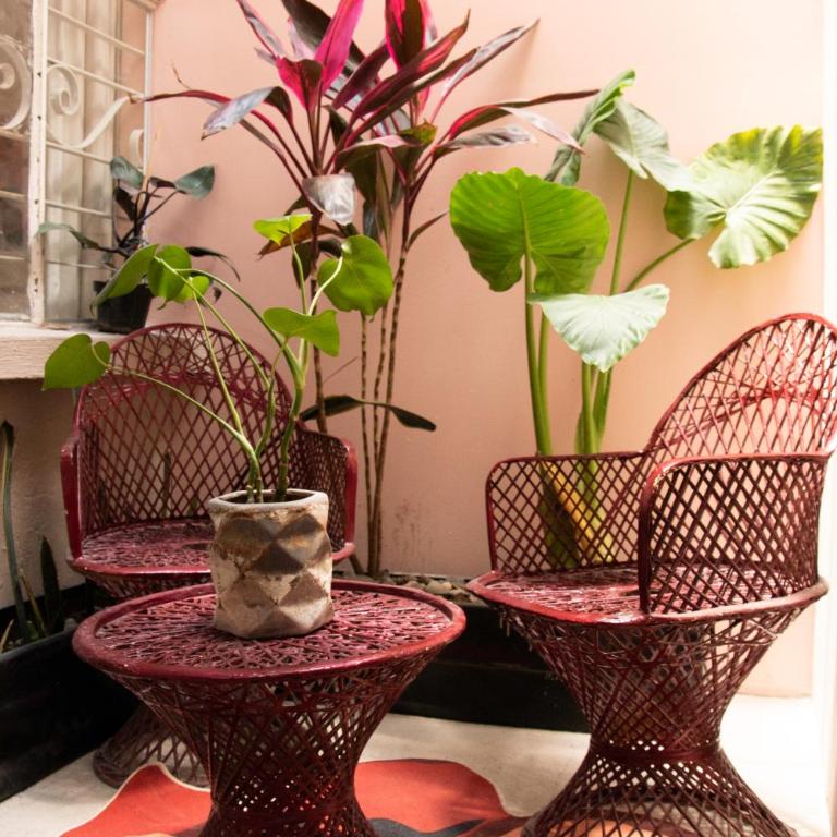 CASA LUMA en el corazón de Roma-Condesa Mexico - Apartment - 5