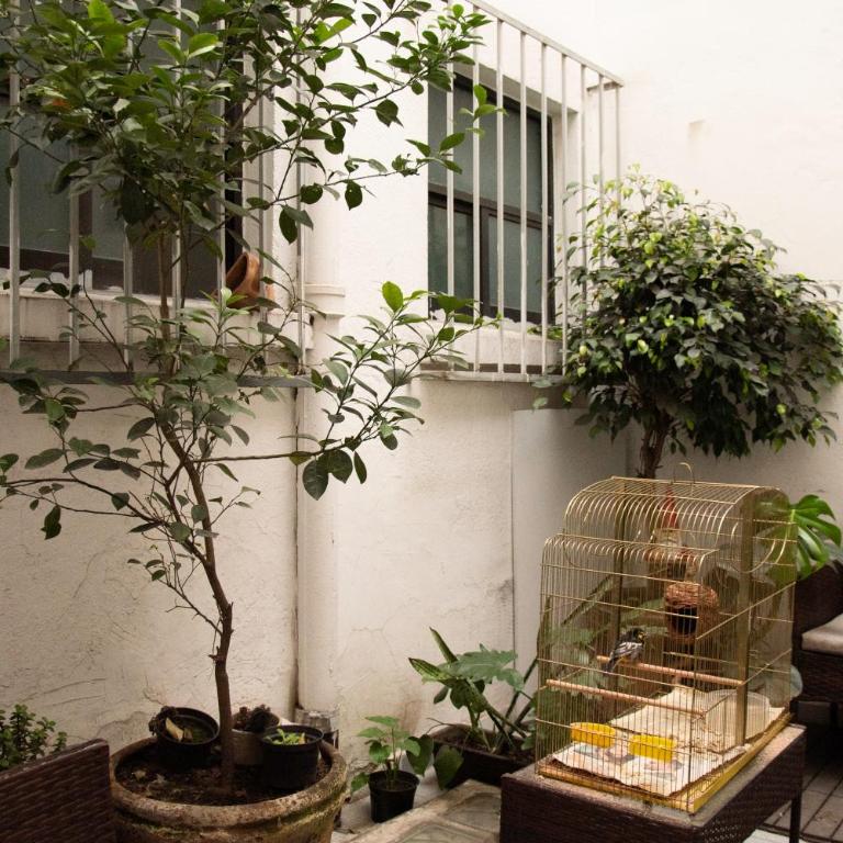 CASA LUMA en el corazón de Roma-Condesa Mexico - Apartment - 65