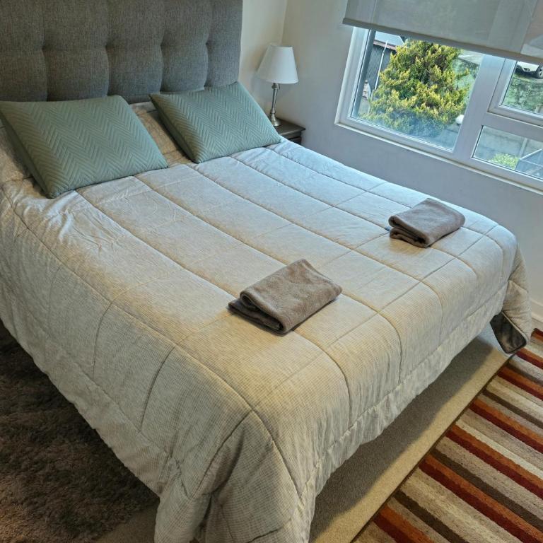 Lindo departamento en Puerto Varas - Two-Bedroom Apartment with Garden View - 4