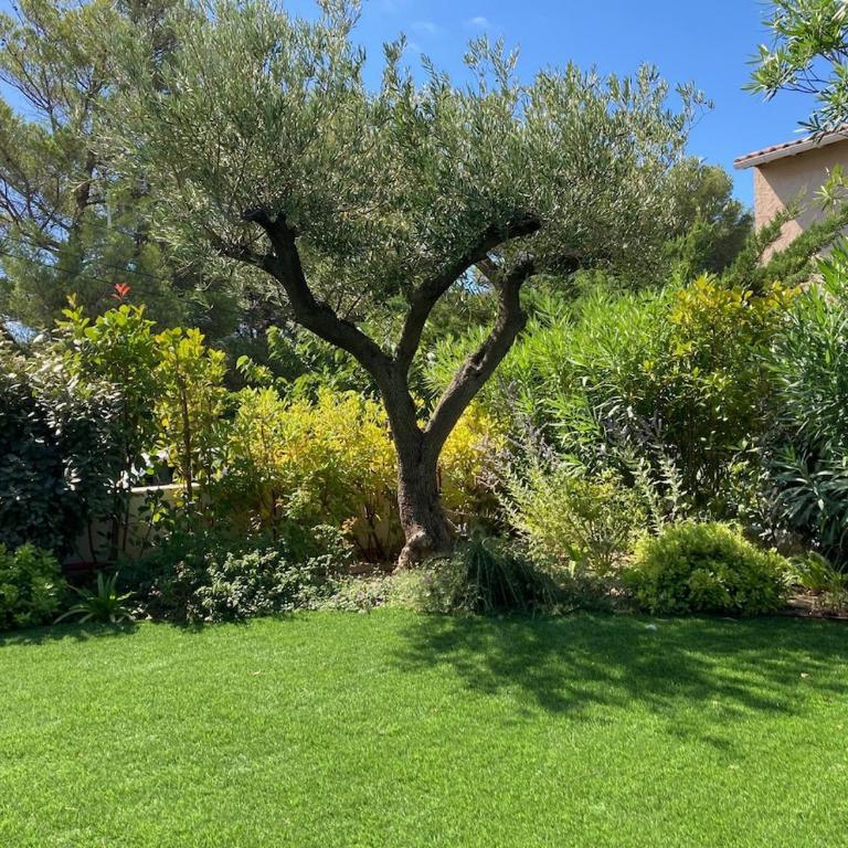 T3 Neuf Bord de mer Cavalaire - Two-Bedroom Apartment - 10