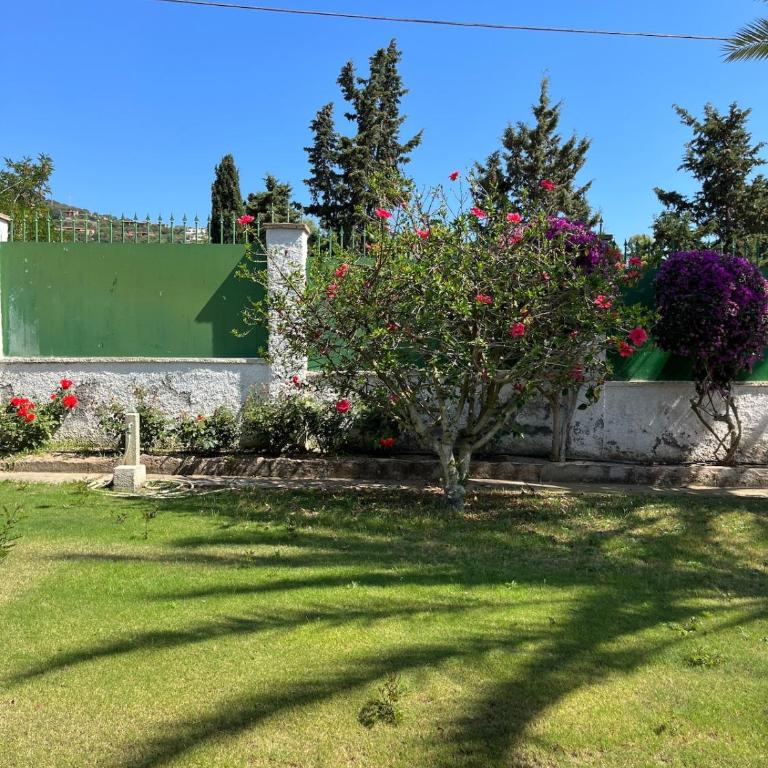 Elegante villa Daniela - Villa con 3 Camere da Letto - 16